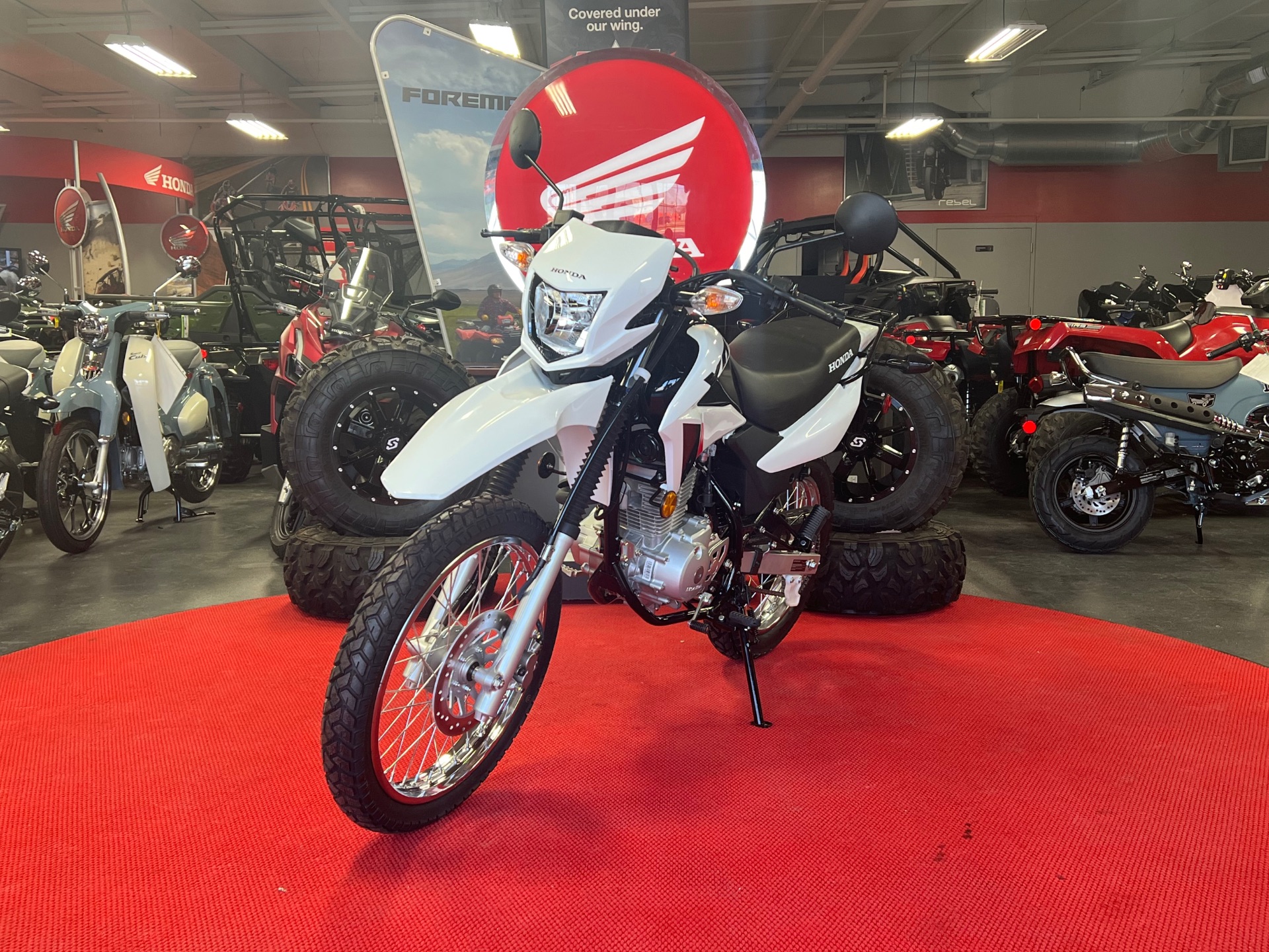 2024 Honda XR150L in Lafayette, Indiana - Photo 4