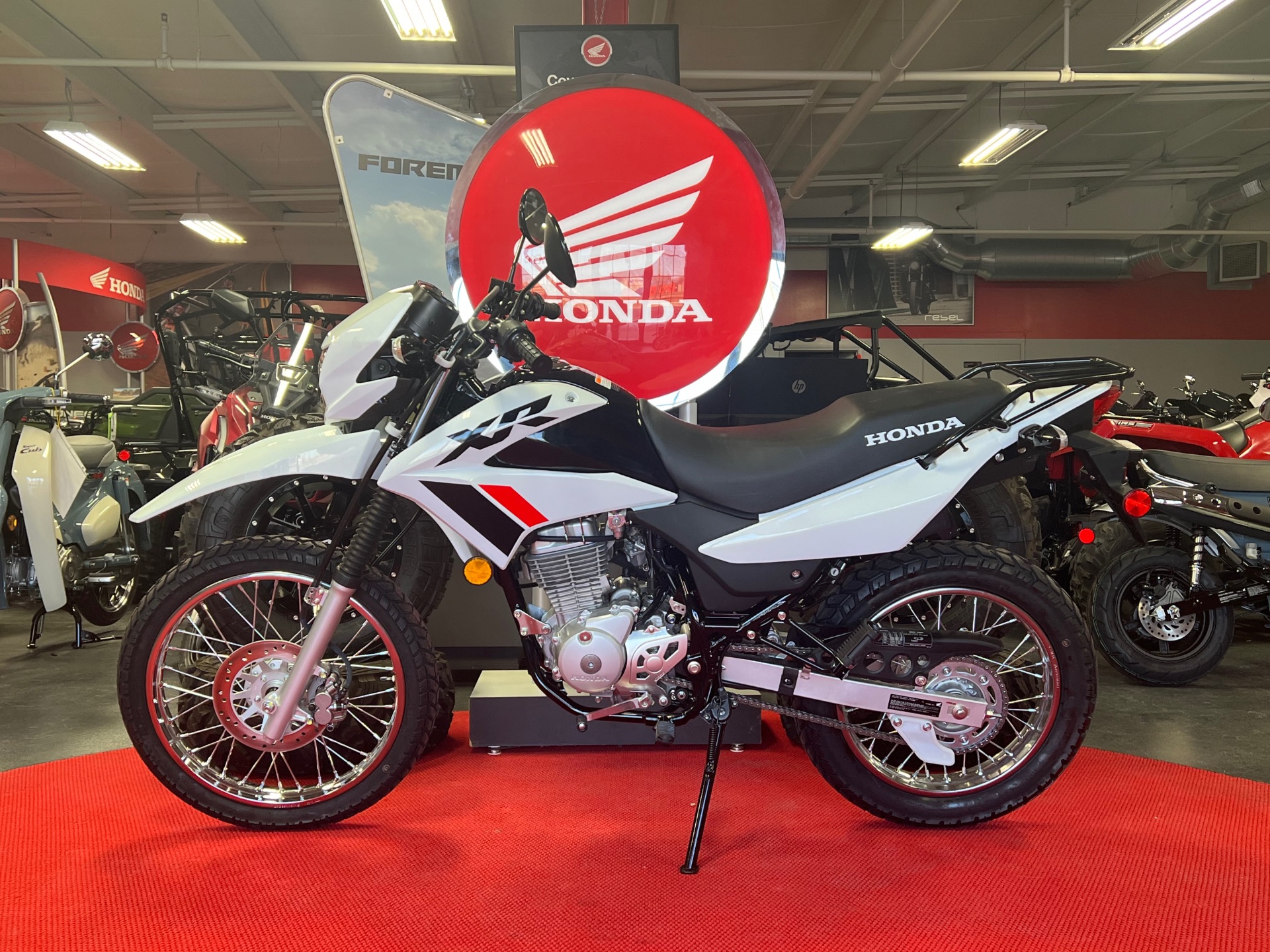 2024 Honda XR150L in Lafayette, Indiana - Photo 5