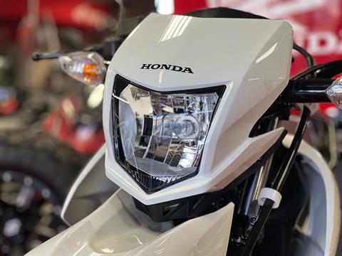 2024 Honda XR150L in Lafayette, Indiana - Photo 8