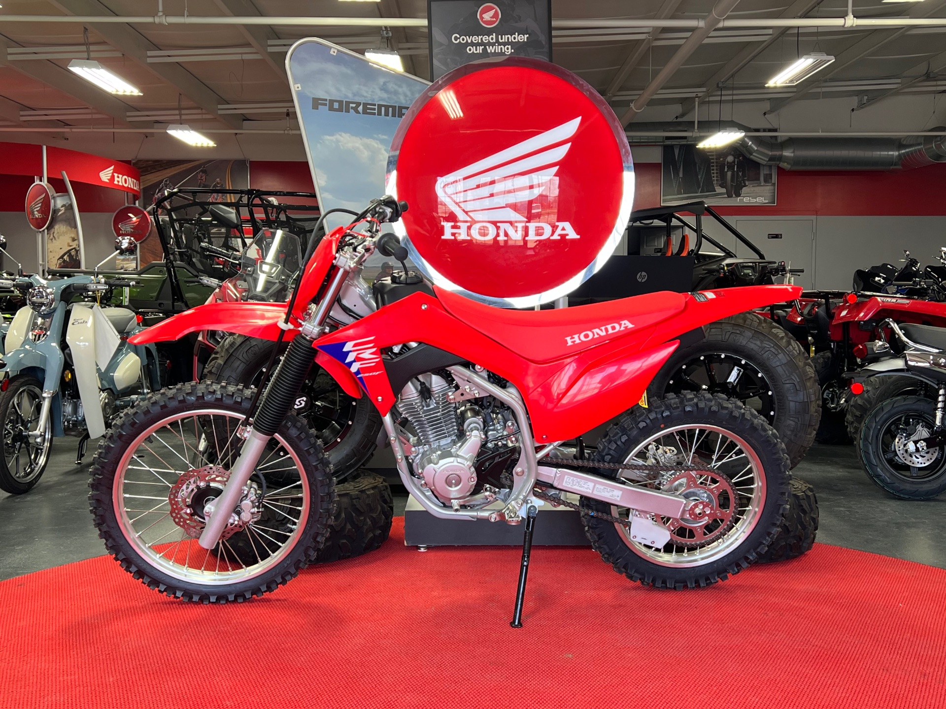 2024 Honda CRF250F in Lafayette, Indiana - Photo 4