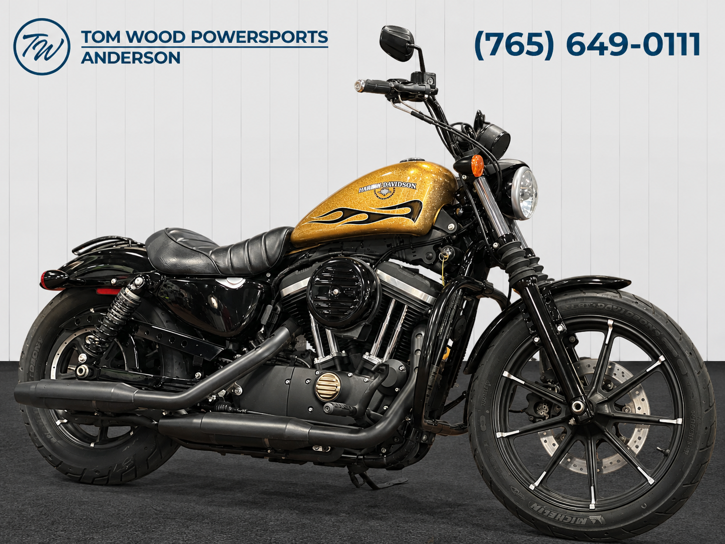 2016 Iron 883