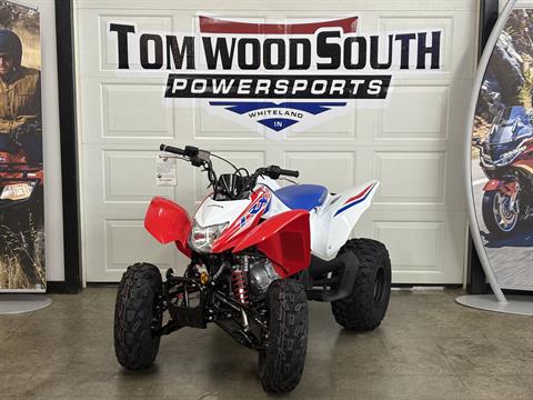 Axel collection 9インチ　ホワイト×ブルー×レッド New 2026 Honda TRX250X, Indianapolis IN | Specs, Price, Photos