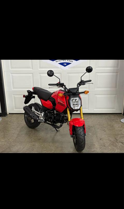 New 2026 Honda Grom, Whiteland IN | Specs, Price, Photos | Cherry