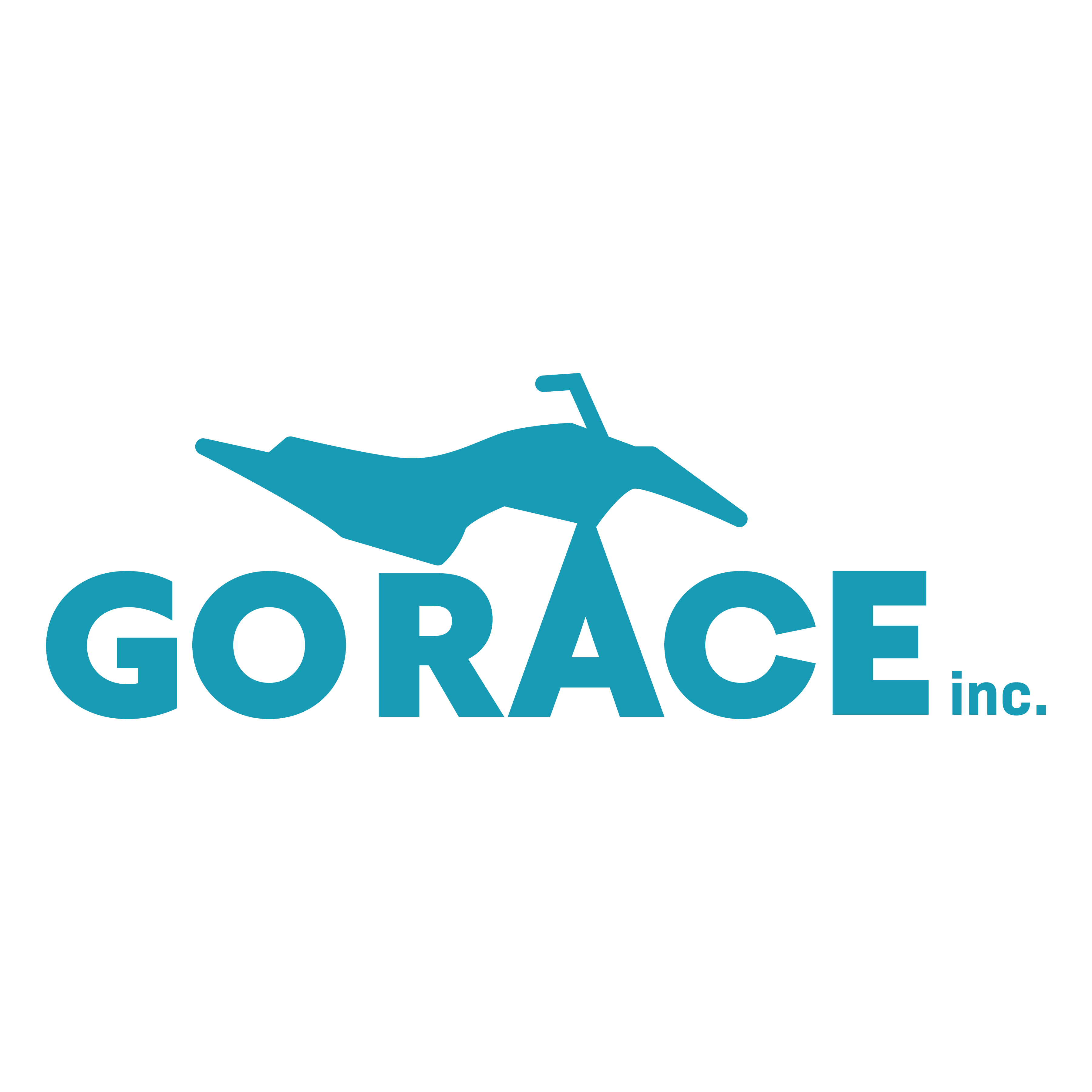 Go Race