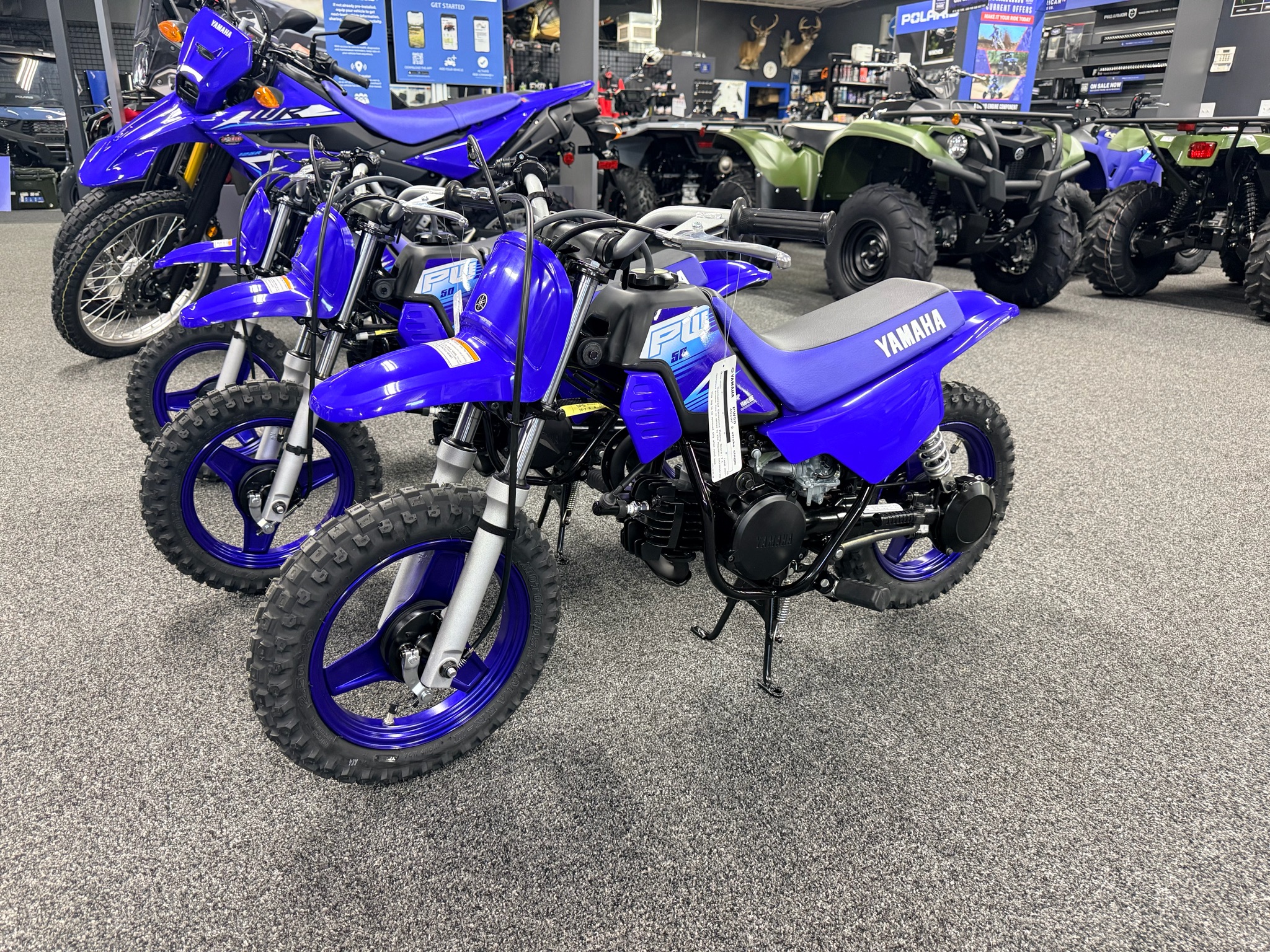 2027 Yamaha PW50 1