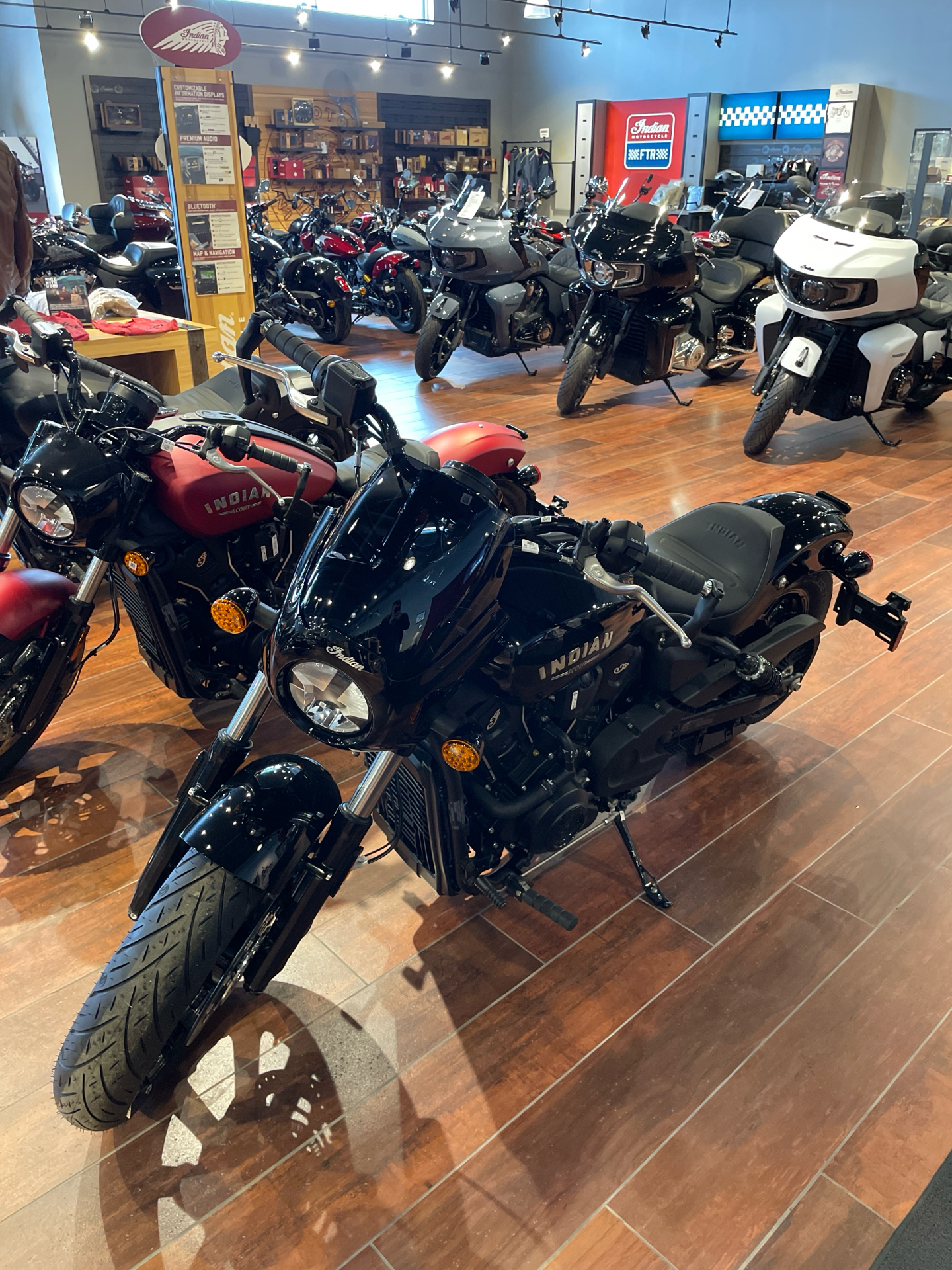 New 2025 Indian Motorcycle Sport Scout® Limited +Tech