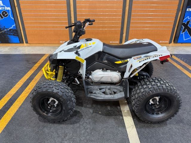 2026 Renegade 110 EFI