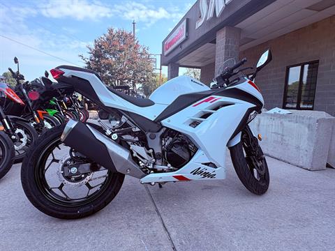 2026 Kawasaki Ninja 300 ABS