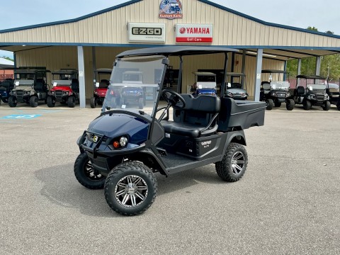 Golf Cart Inventory at Palmetto Kustom Kartz, Lexington SC