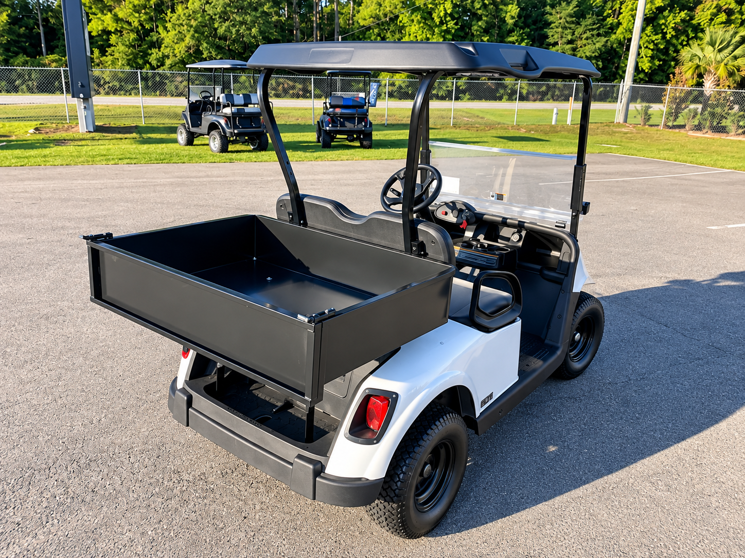 2021 EZGO Freedom photo 4