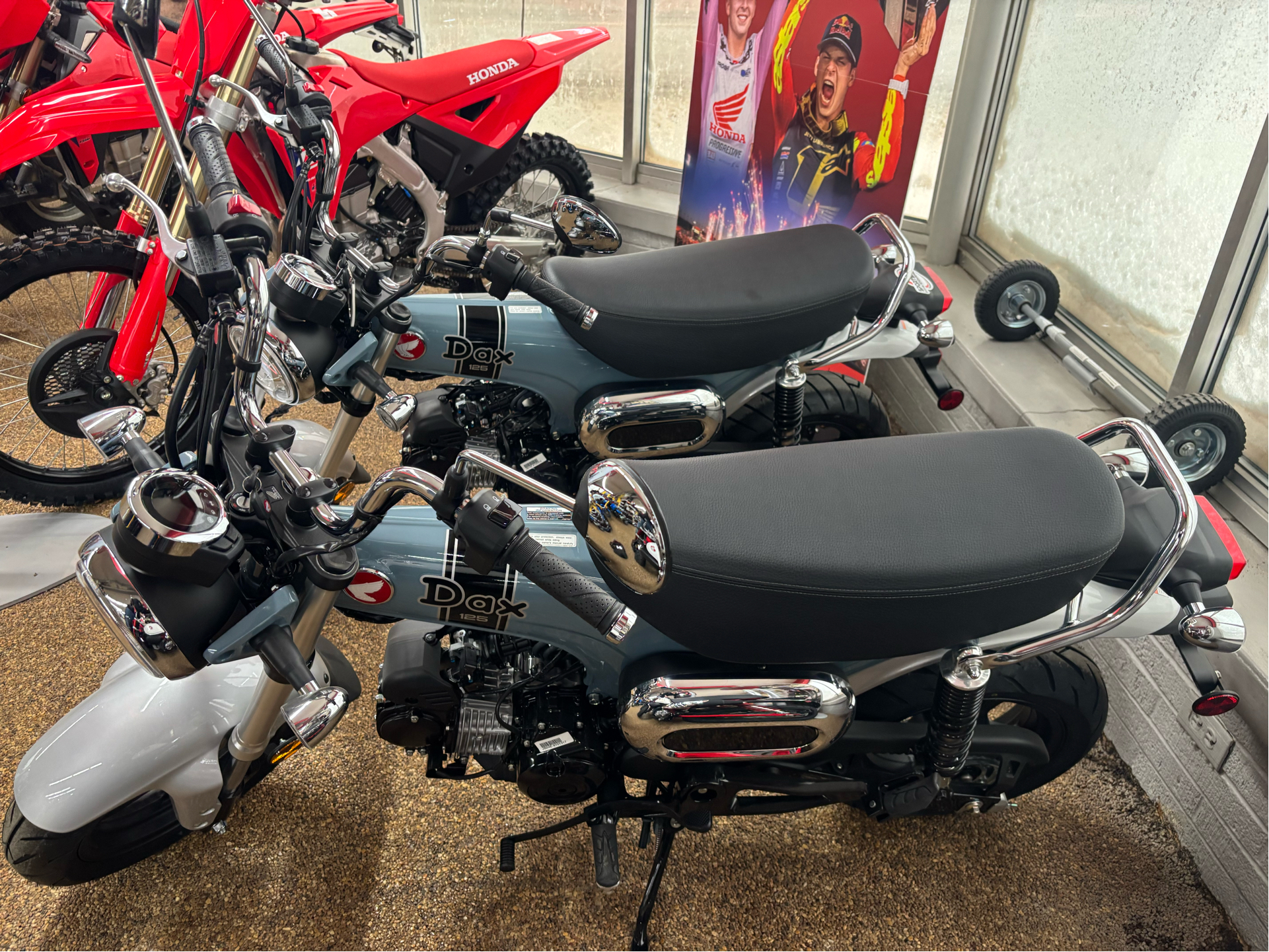 2025 Honda Dax 125 3
