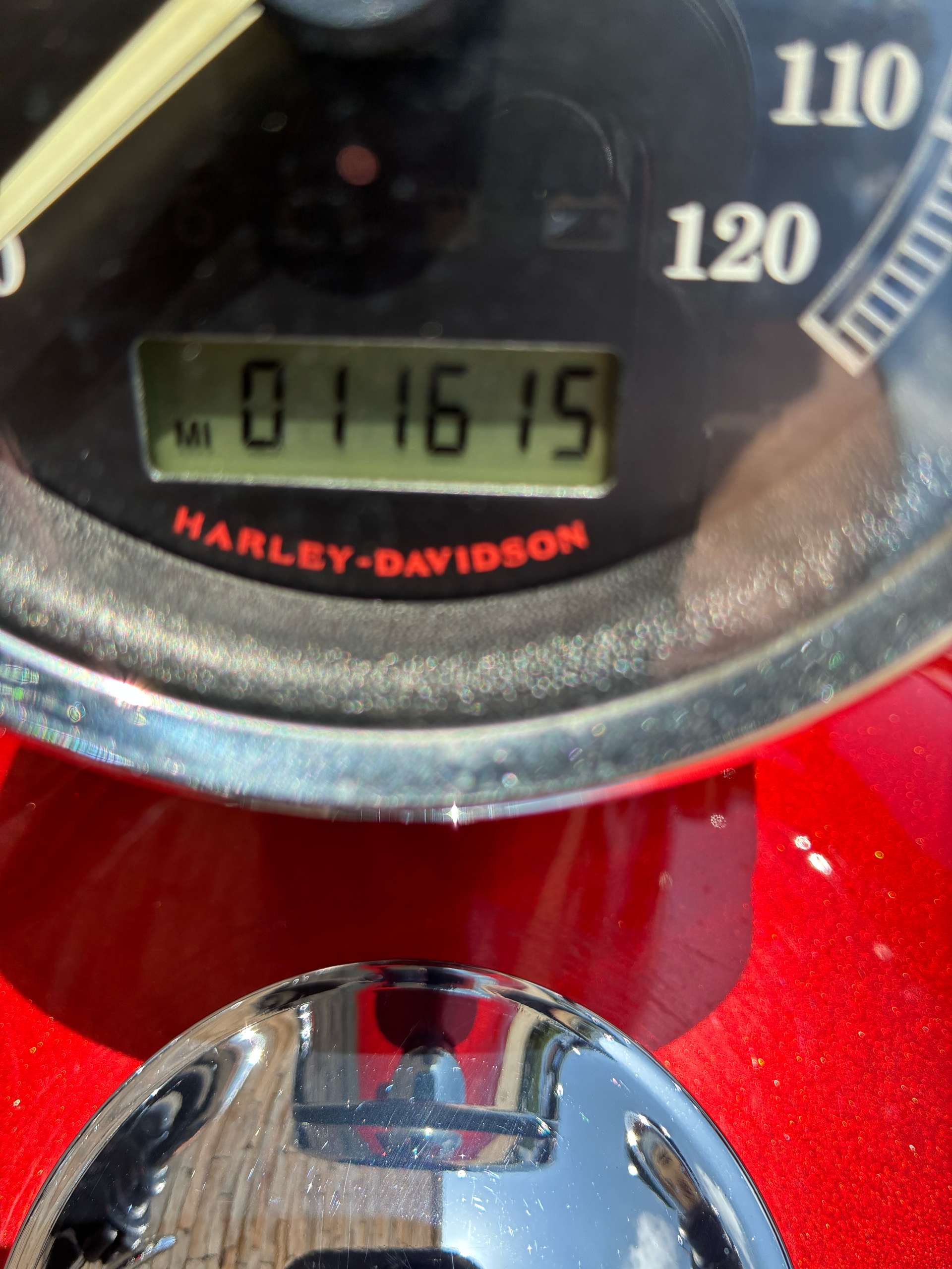 2013 Harley-Davidson Sportster® 1200 Custom in Bossier City, Louisiana - Photo 2