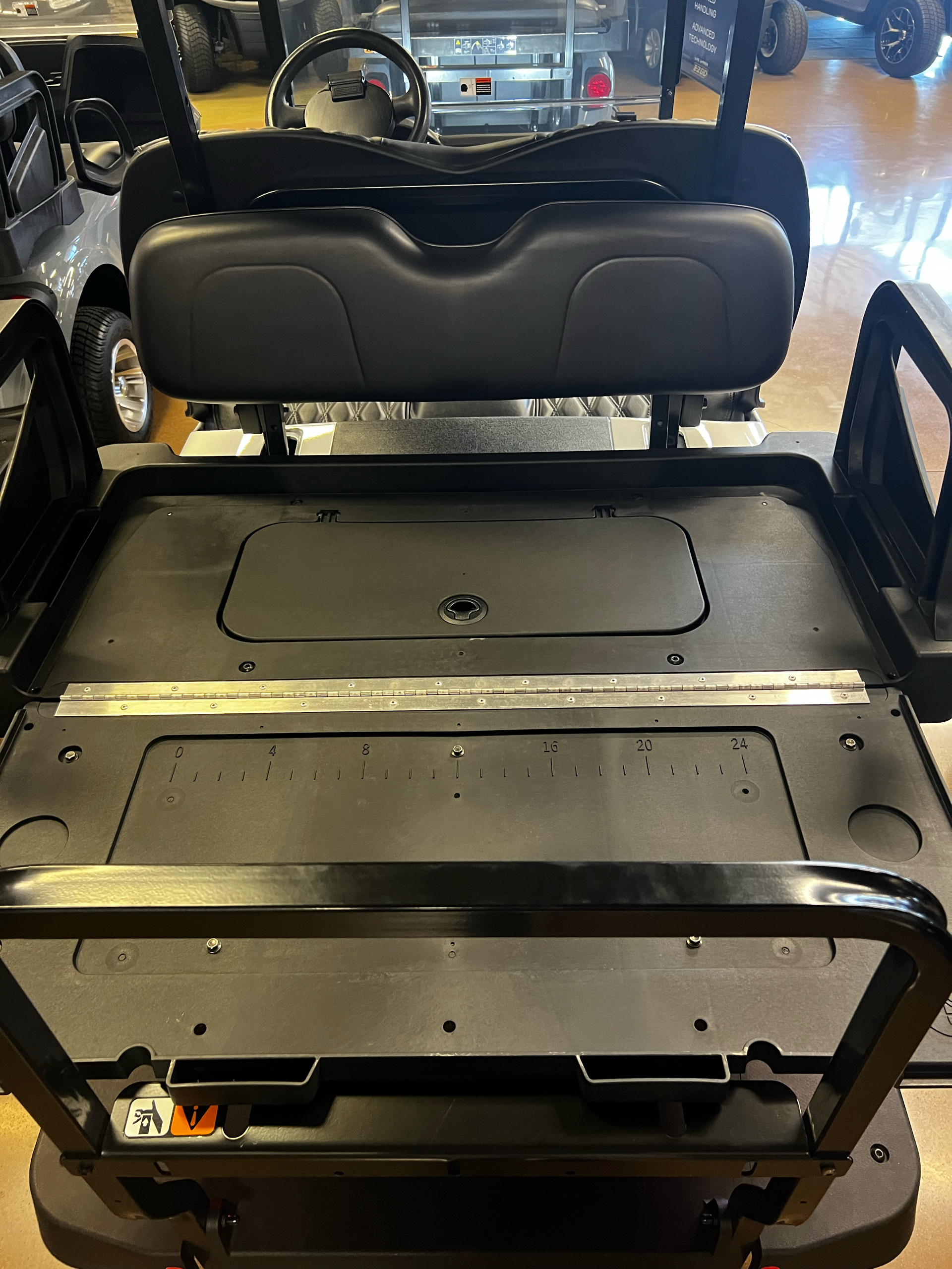 2018 EZGO RXV photo 6