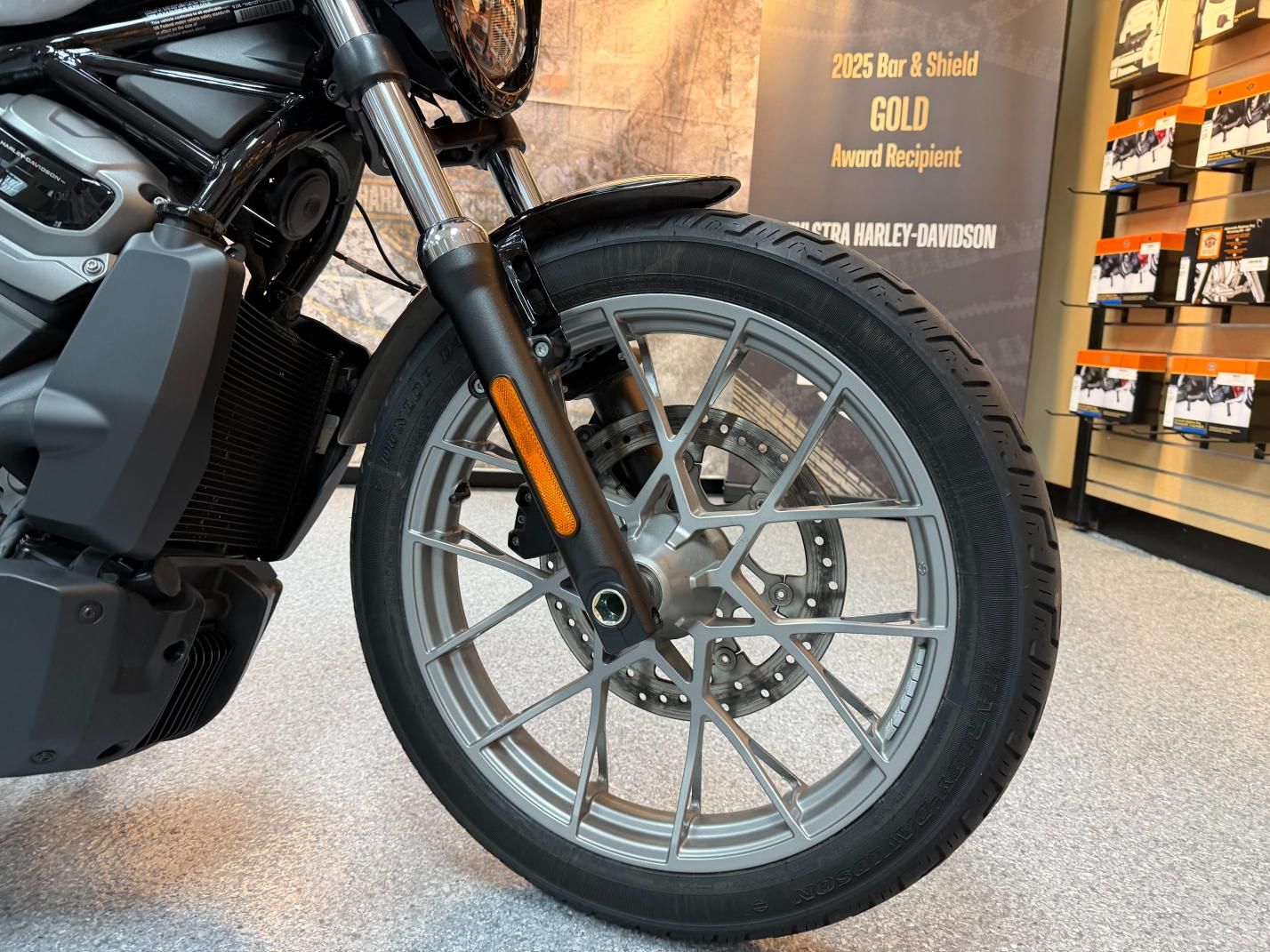 2024 Harley-Davidson Nightster® Special 6