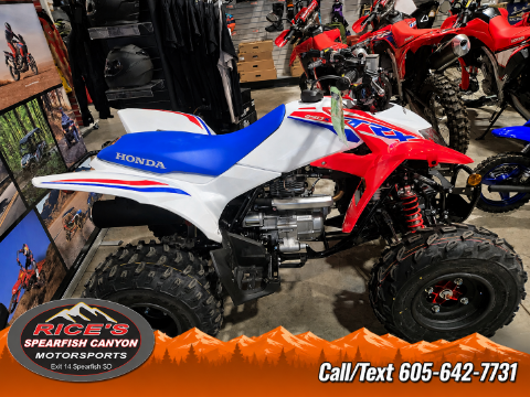 2026 Honda TRX250X