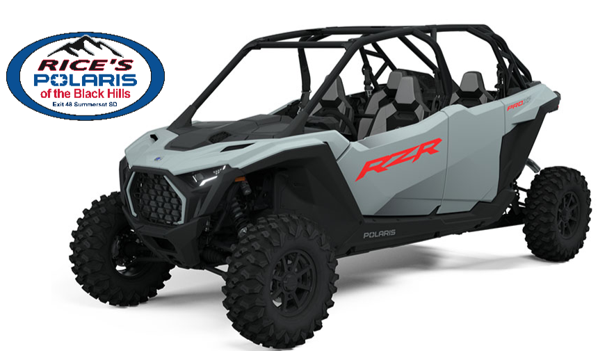 Polaris RZR Pro XP 4 Sport Image