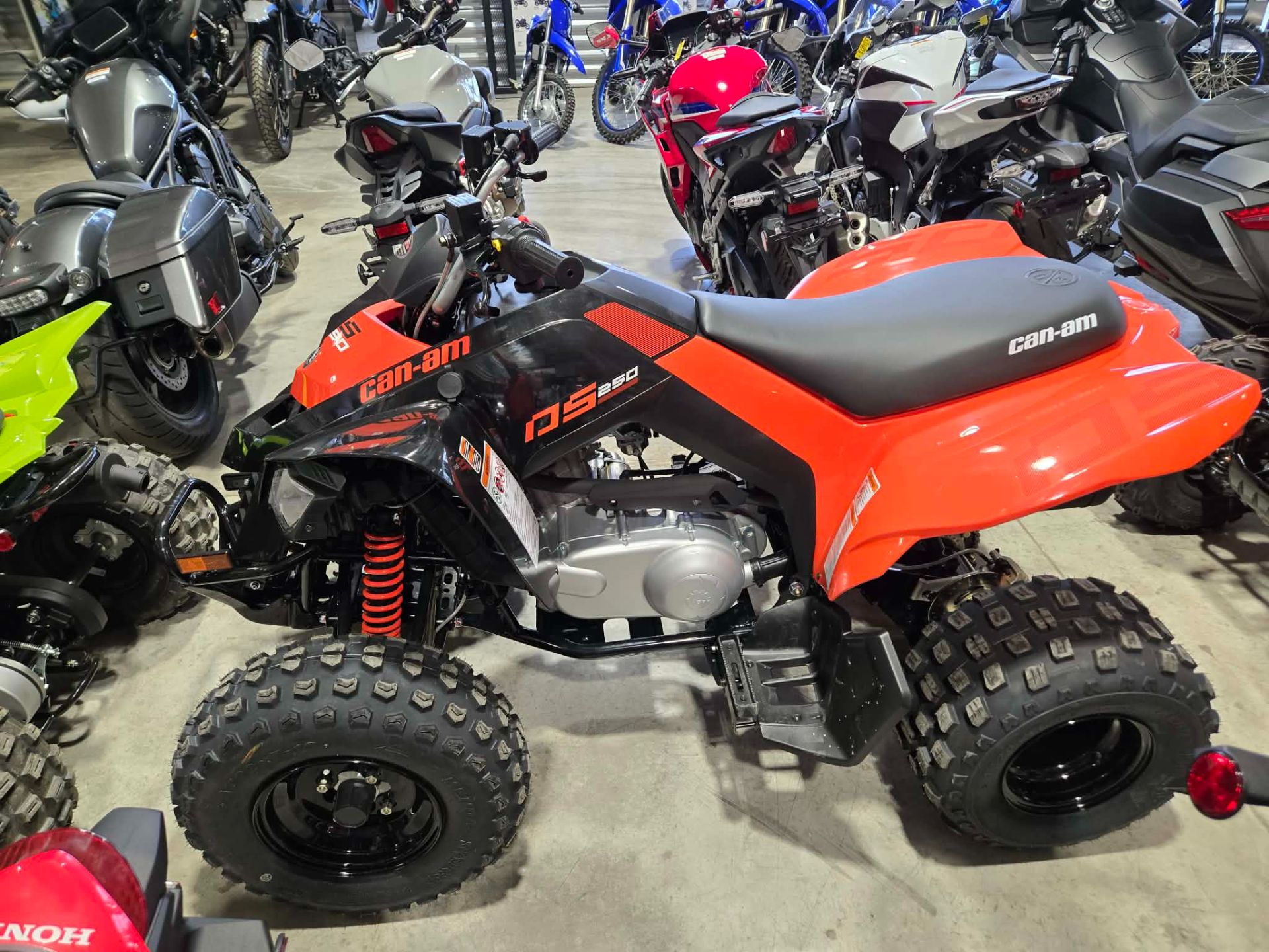 Can-Am DS 250 Image