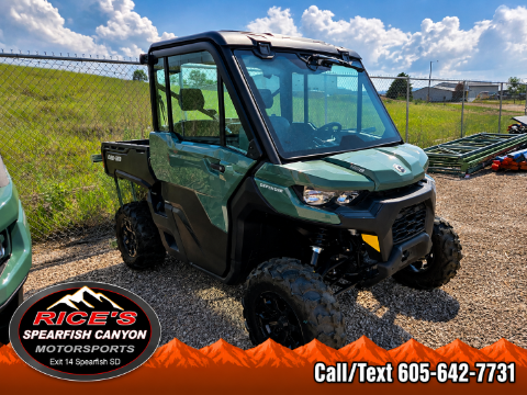 2026 Can-Am Defender DPS CAB HD10 — photo 1 of 9