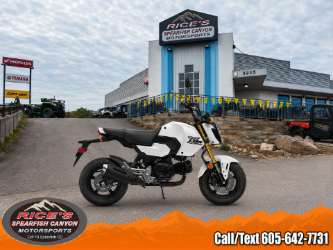 2025 Honda Grom ABS