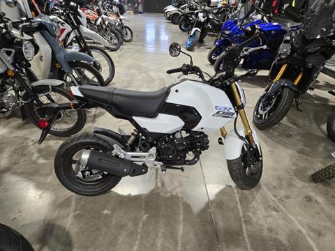 New 2025 Honda Grom Pearl White Motorcycles for Sale at Rice's