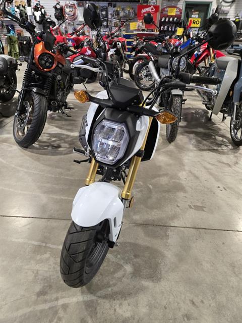 New 2025 Honda Grom Pearl White | Motorcycles for Sale at Rice's