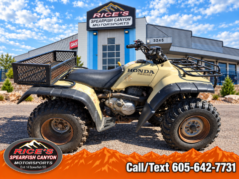 1996 Honda TRX300FW — photo 1 of 12