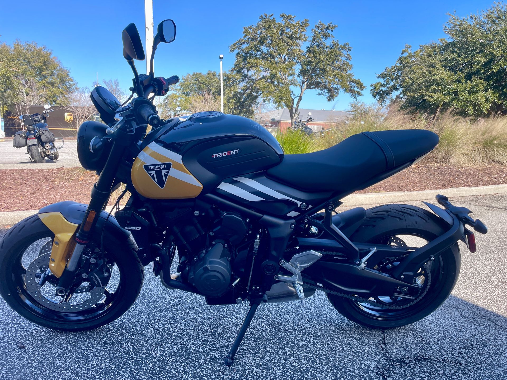 New 2025 Triumph Trident 660 | Motorcycles in North Charleston SC