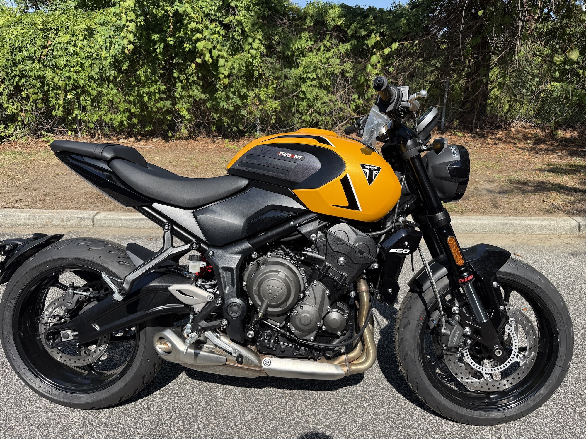 2026 Triumph Trident 660