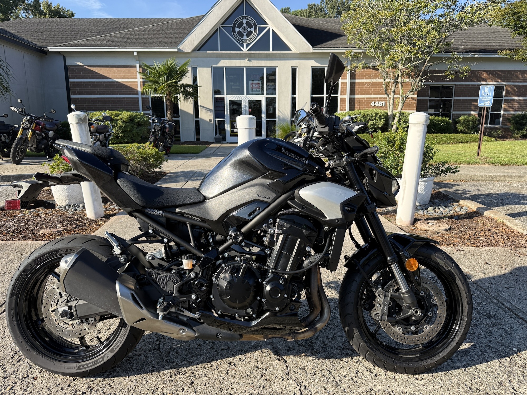 2025 Kawasaki Z900 ABS for sale 1288158