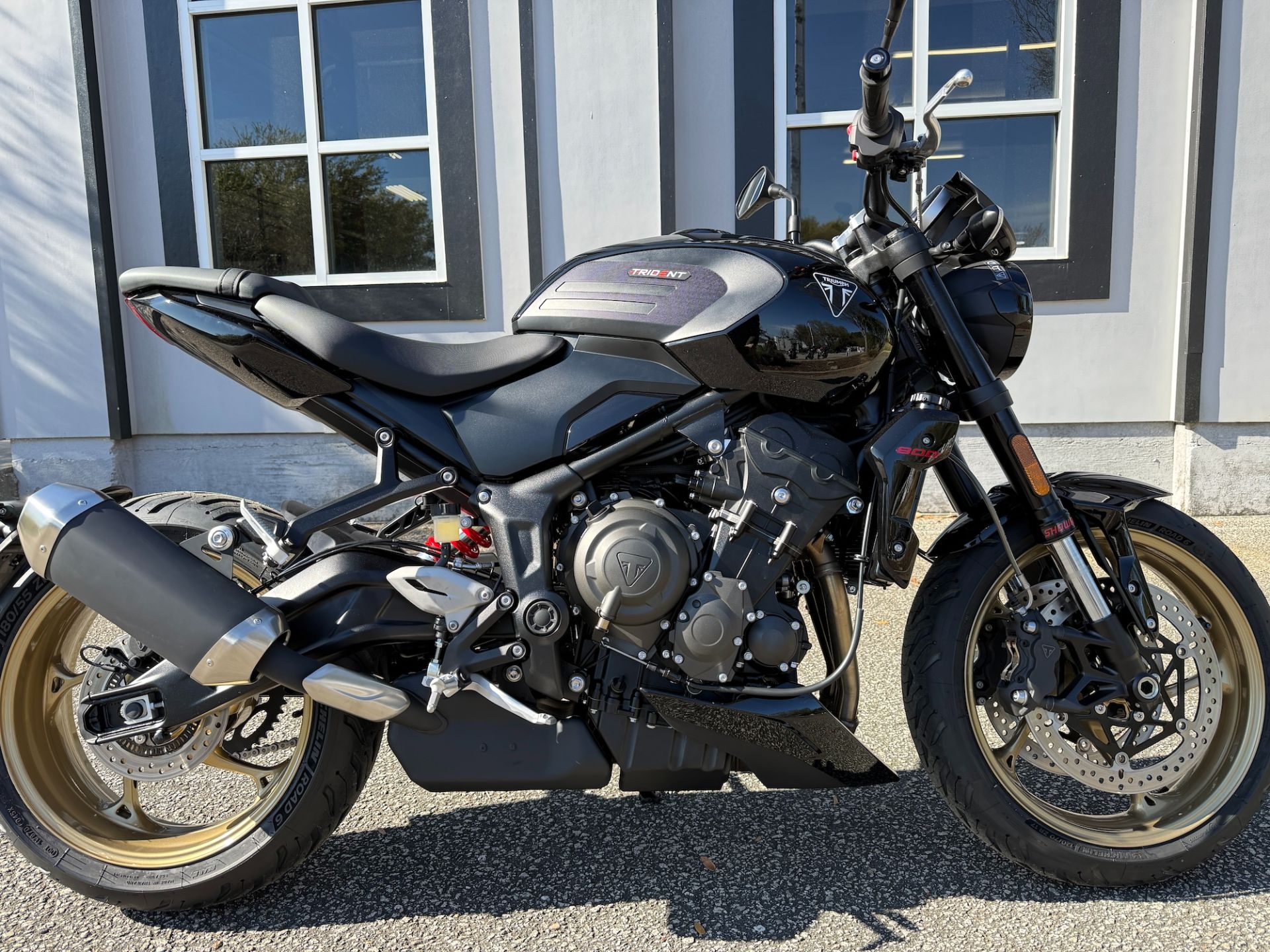 2026 Triumph Trident 800