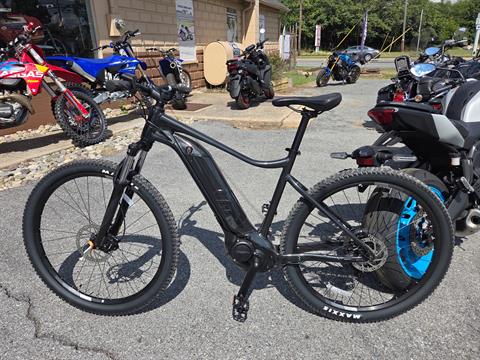 womens retro bicycles 700c Kent Retro