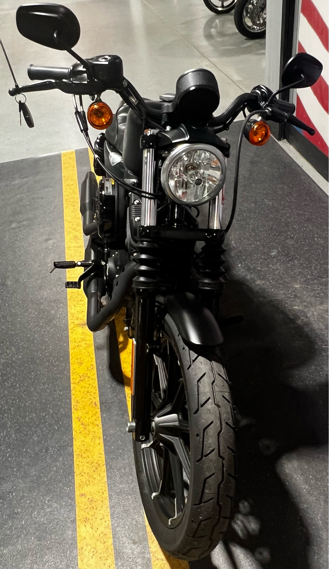 Used 2021 Harley-Davidson Iron 883™ Motorcycle - Specs, Price