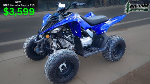2026 Yamaha Raptor 110 in Fairview, Utah - Photo 1