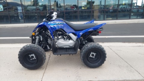 2026 Yamaha Raptor 110 in Fairview, Utah - Photo 2