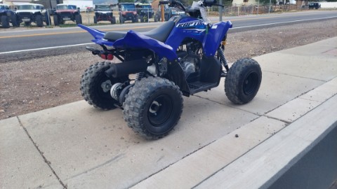 2026 Yamaha Raptor 110 in Fairview, Utah - Photo 8