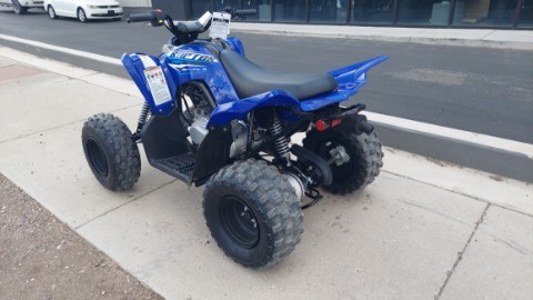 2026 Yamaha Raptor 110 in Fairview, Utah - Photo 10