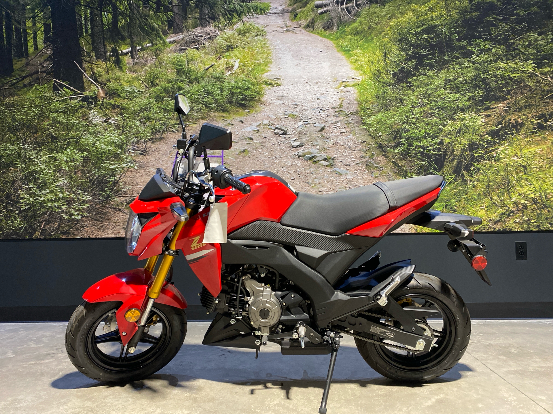 2023 Kawasaki Z125 Pro in Fairview, Utah - Photo 1