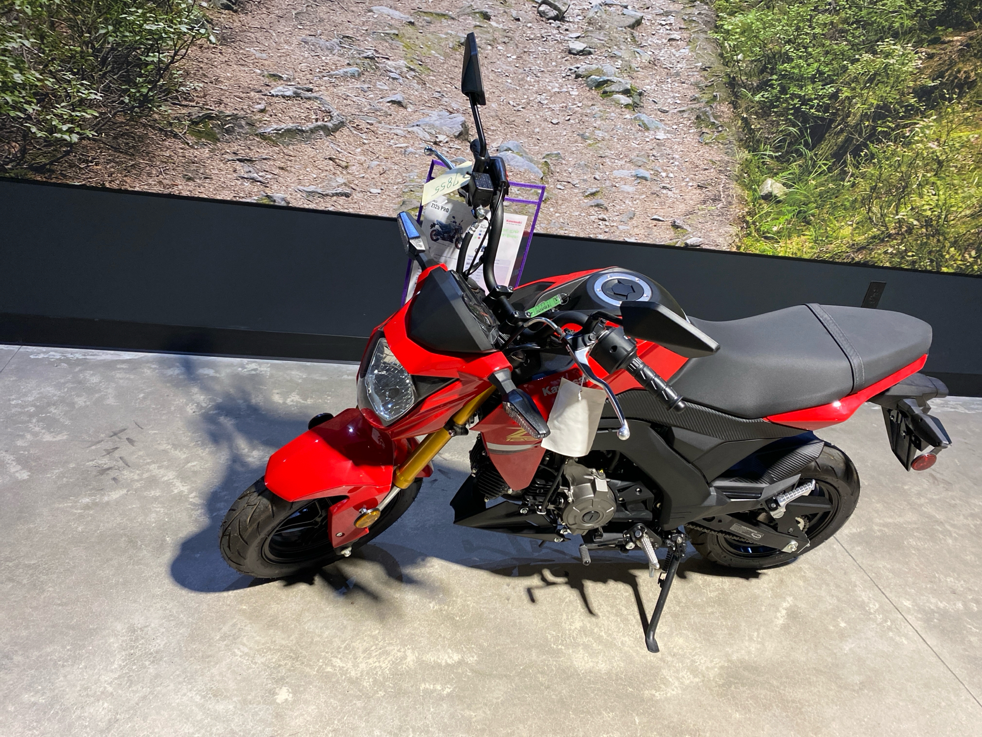 2023 Kawasaki Z125 Pro in Fairview, Utah - Photo 2