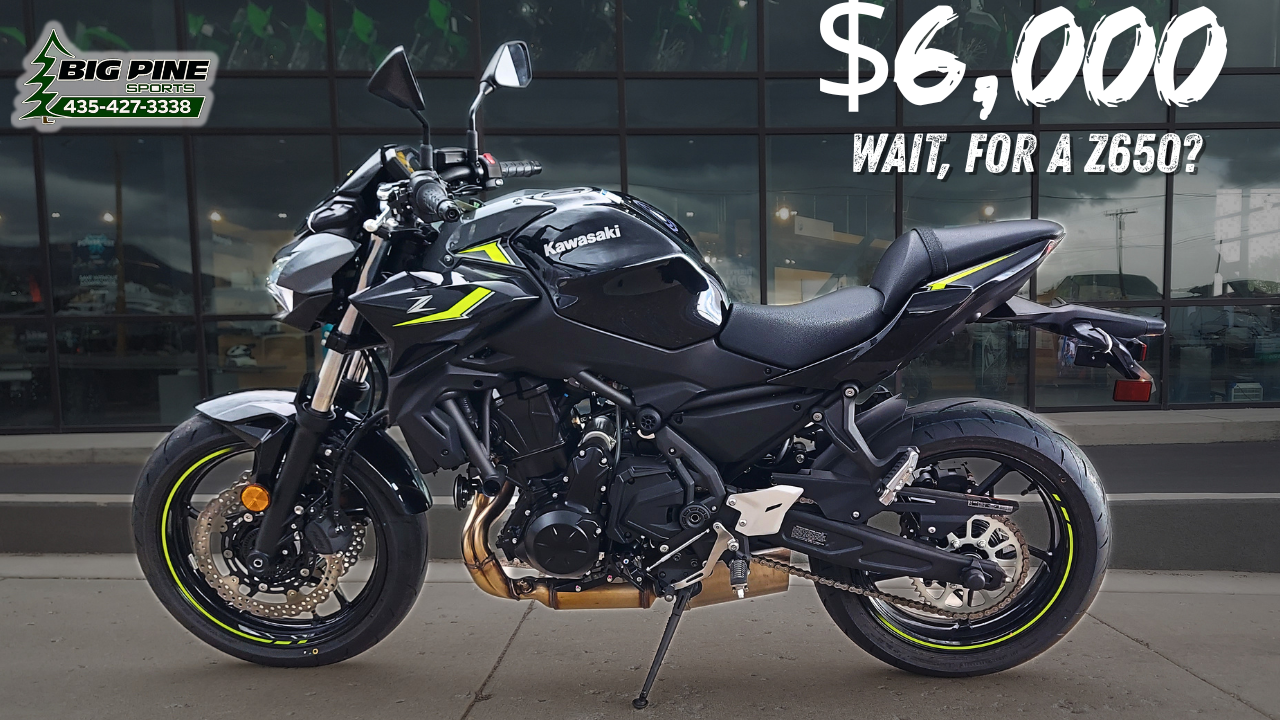 2024 Kawasaki Z650 in Fairview, Utah - Photo 1