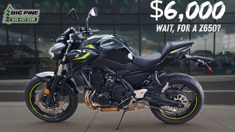 2024 Kawasaki Z650 in Fairview, Utah - Photo 1
