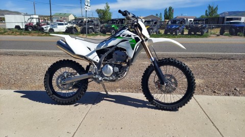 2026 Kawasaki KLX®300R in Fairview, Utah - Photo 8