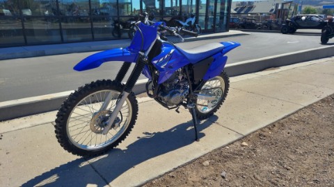 2026 Yamaha TT-R230 in Fairview, Utah - Photo 3