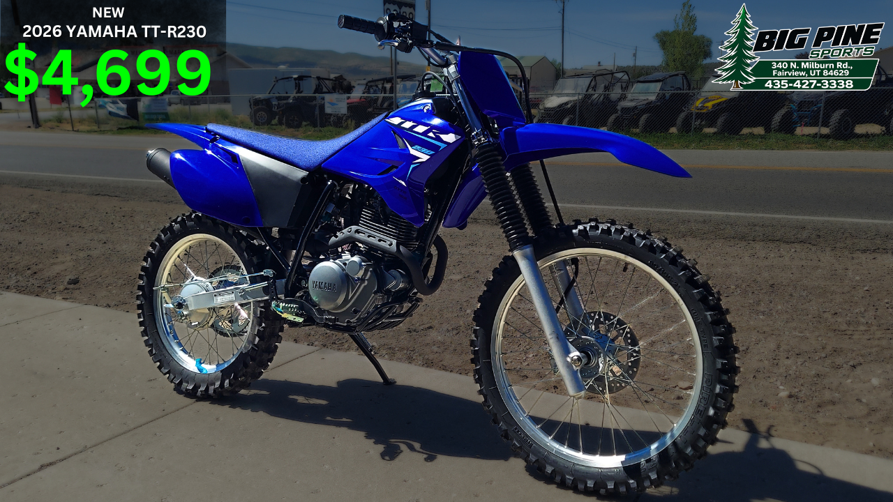 2026 Yamaha TT-R230 in Fairview, Utah - Photo 1