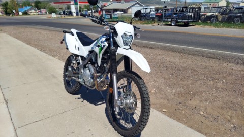 2026 Kawasaki KLX®230 S in Fairview, Utah - Photo 8