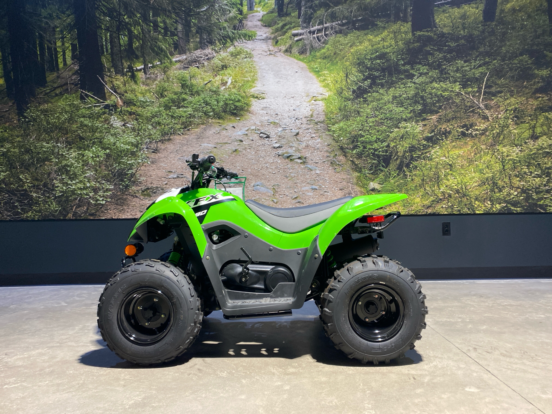 2024 Kawasaki KFX 90 in Fairview, Utah - Photo 1