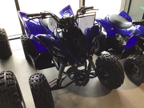 2025 Yamaha Raptor 110 in Fairview, Utah - Photo 1