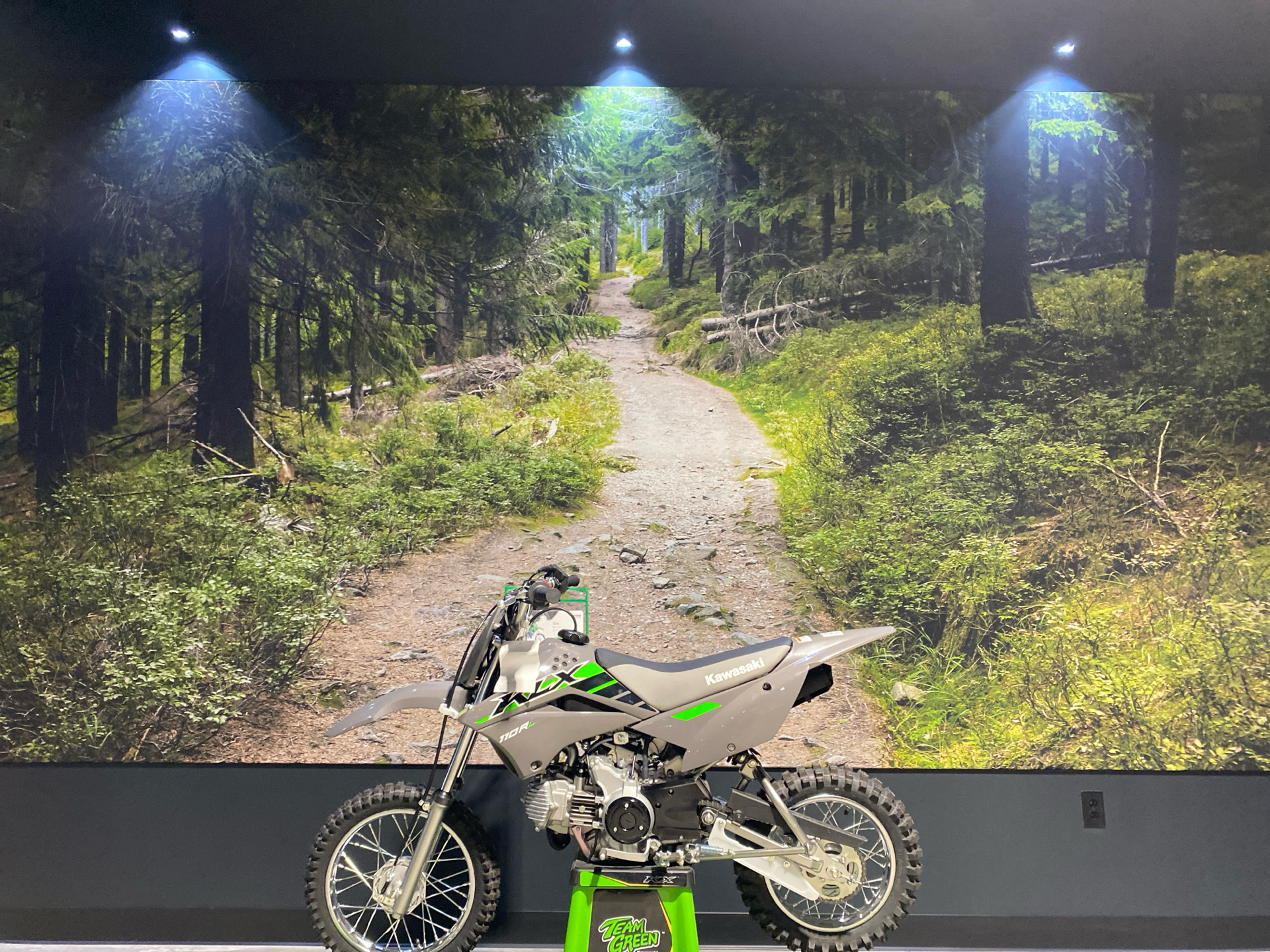 2025 Kawasaki KLX 110R L in Fairview, Utah - Photo 1