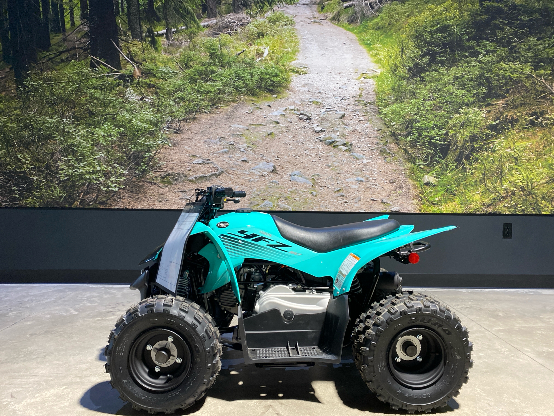 2025 Yamaha YFZ50 in Fairview, Utah - Photo 1