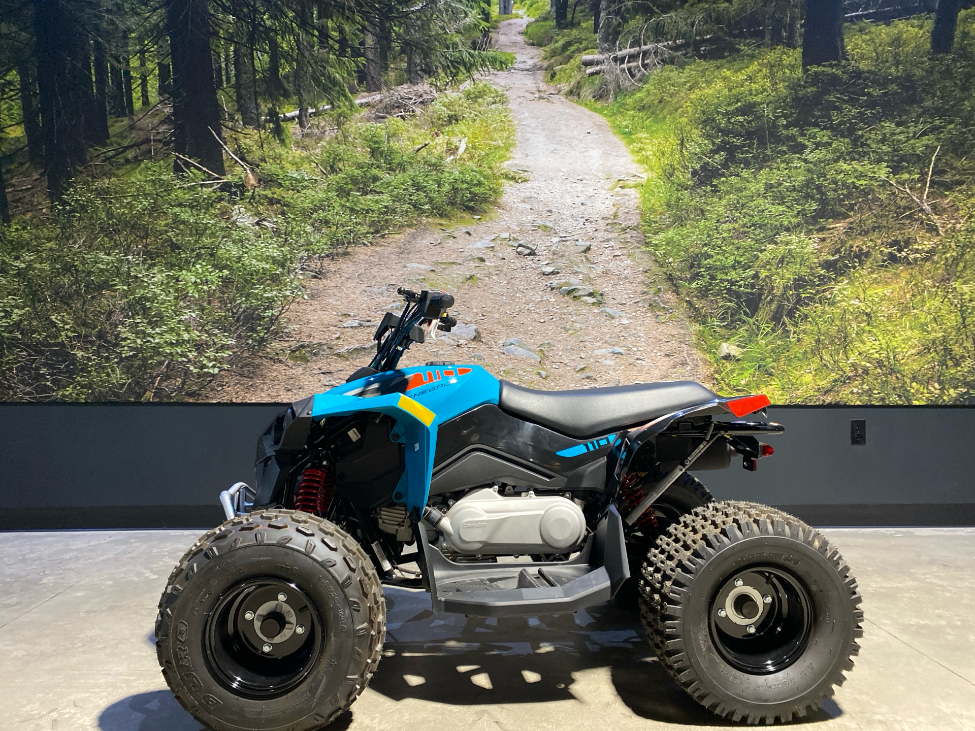 2025 Can-Am Renegade 110 EFI in Fairview, Utah - Photo 1