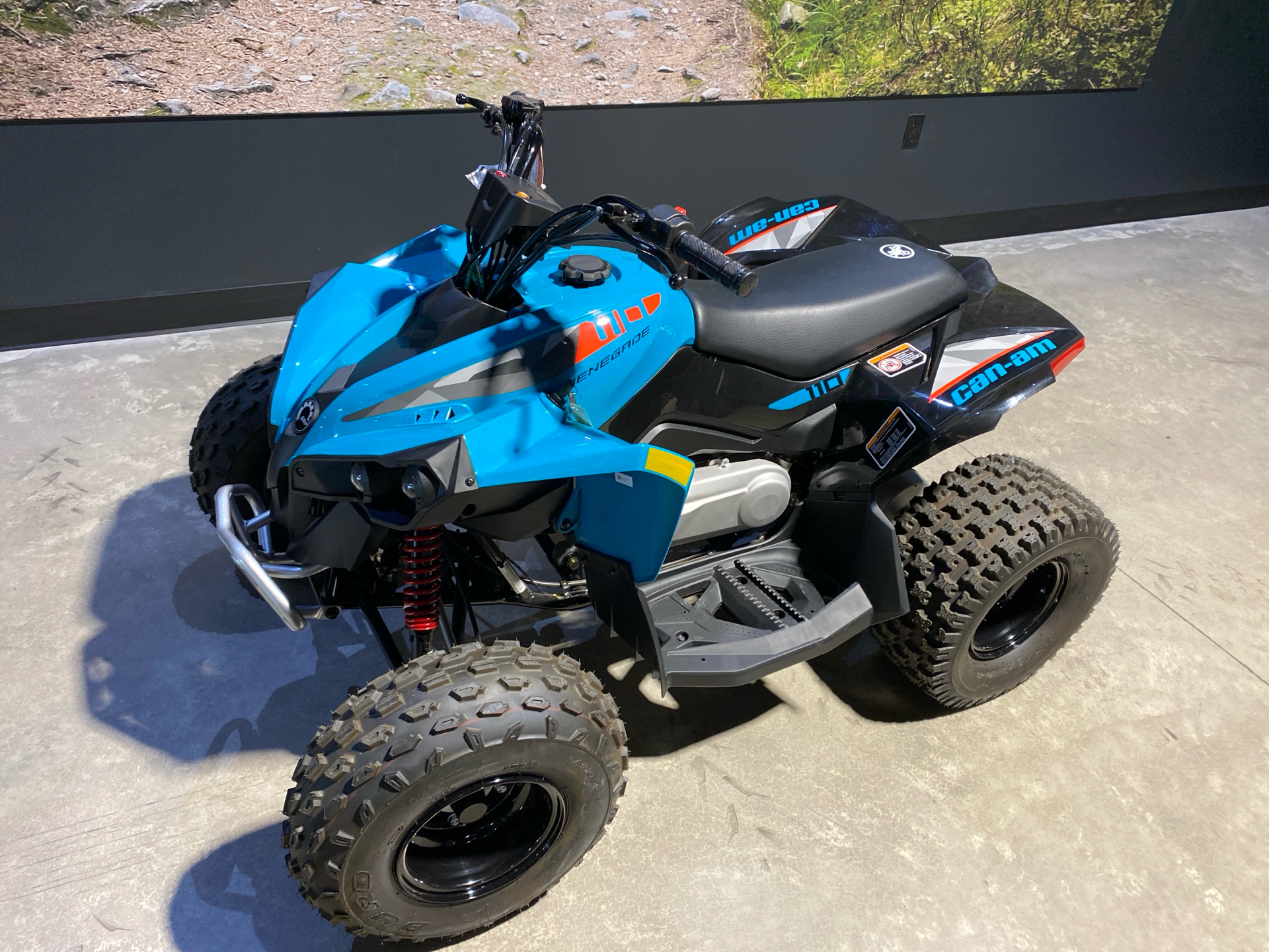 2025 Can-Am Renegade 110 EFI in Fairview, Utah - Photo 2